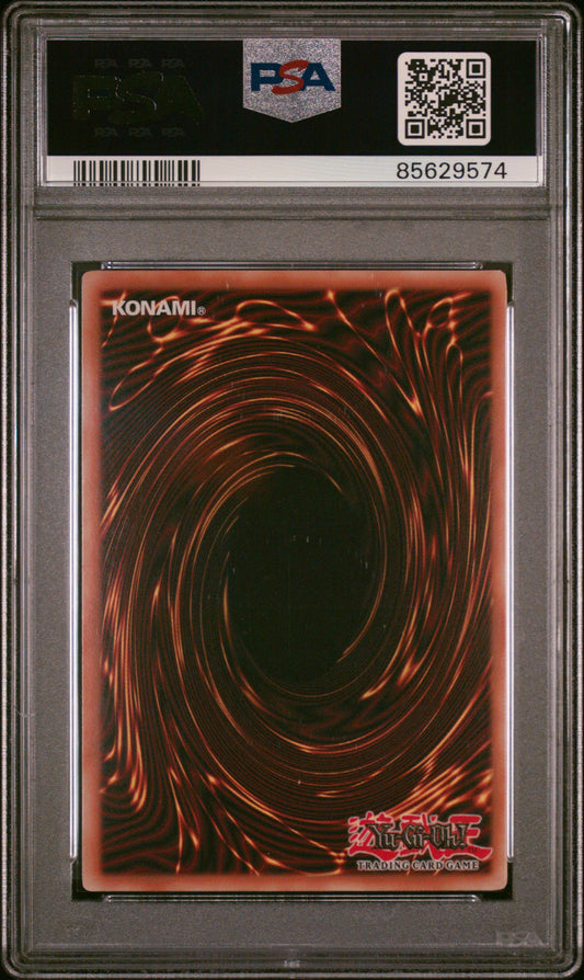 2008 YU-GI-OH! COLLECTIBLE TINS WAVE 2 #EN003 BLACK ROSE DRAGON COLLECTIBLE TINS WAVE 2