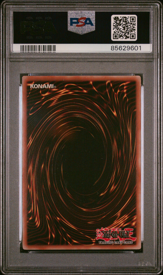 2007 YU-GI-OH! COLLECTIBLE TINS WAVE 1 #EN002 C.B. SAPPHIRE PEGASUS COLLECTIBLE TINS WAVE 1